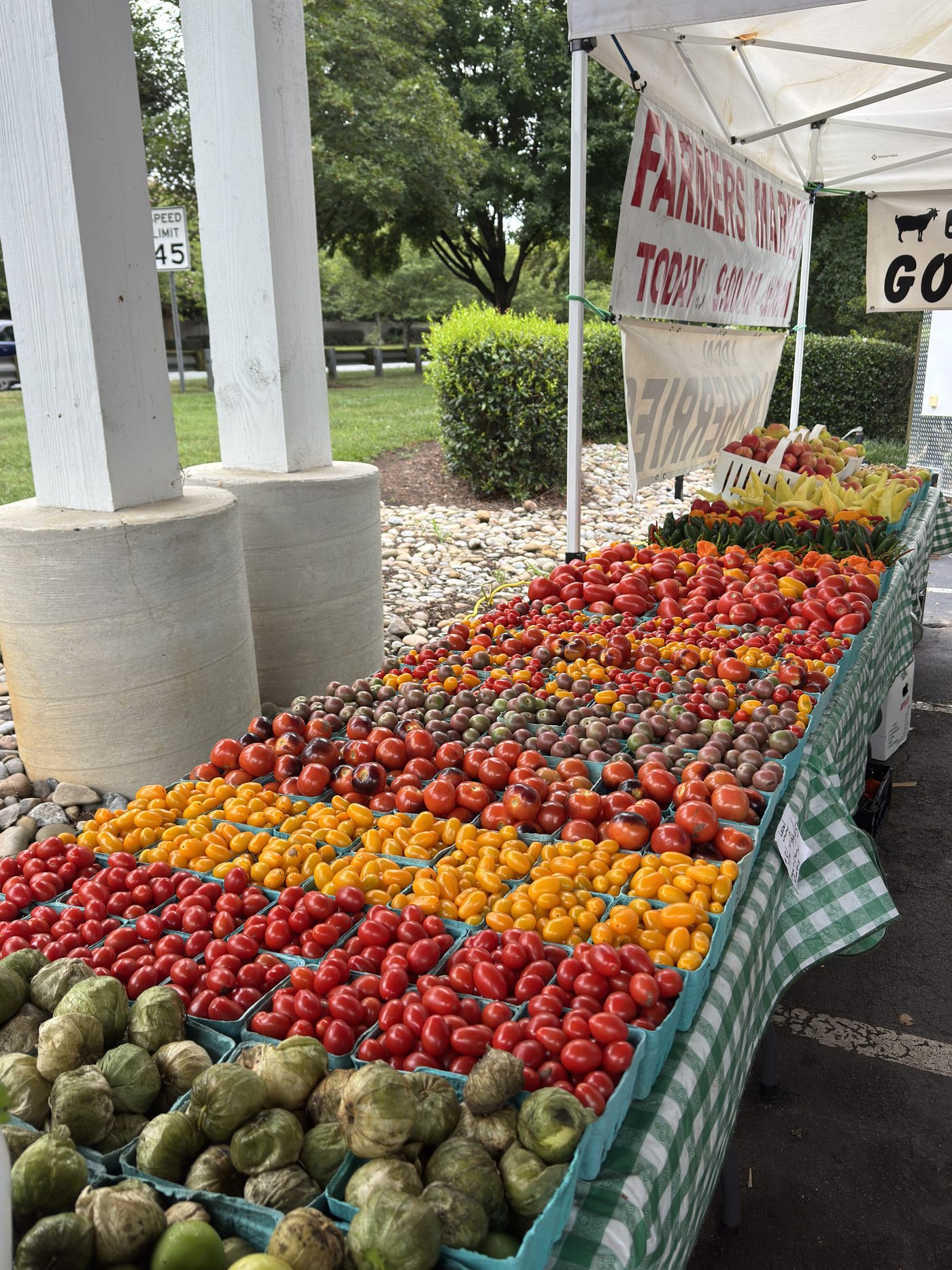 Rows of cherry and heirloom tomatoes at the farmers market